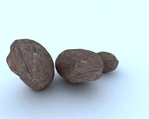 3d model of rock