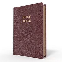 Leather Bible