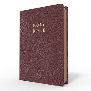 Leather Bible