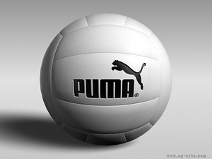 3ds max volley ball