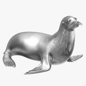 Sea Lion Silver