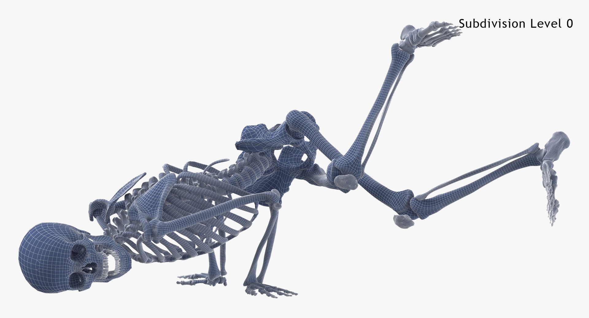 Real Human Female Skeleton Pose 89 3D model https://p.turbosquid.com/ts-thumb/Hc/elx8ri/X4/real_human_female_skeleton_pose_89_subdiv0_0001/jpg/1639583610/1920x1080/fit_q87/c29d9c71e3a6e3a75246fc933aae9bf5d19c34bf/real_human_female_skeleton_pose_89_subdiv0_0001.jpg