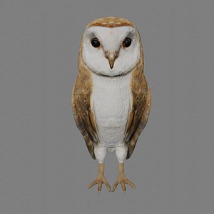 Rigged Barn Owl Low Poly