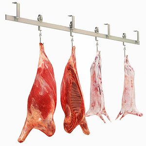 3D Carcass with Hanger
