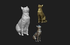 new cat