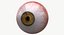 realistic human creature eye pupil 3d model