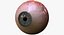 realistic human creature eye pupil 3d model