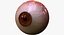 realistic human creature eye pupil 3d model