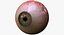 realistic human creature eye pupil 3d model