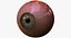 realistic human creature eye pupil 3d model