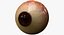 realistic human creature eye pupil 3d model