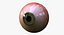 realistic human creature eye pupil 3d model