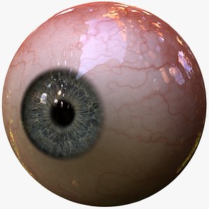 Realistic Human or Creature Eye with Special Effects and Features Blue