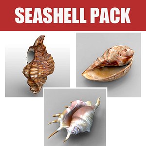 seashell sea shell 3ds