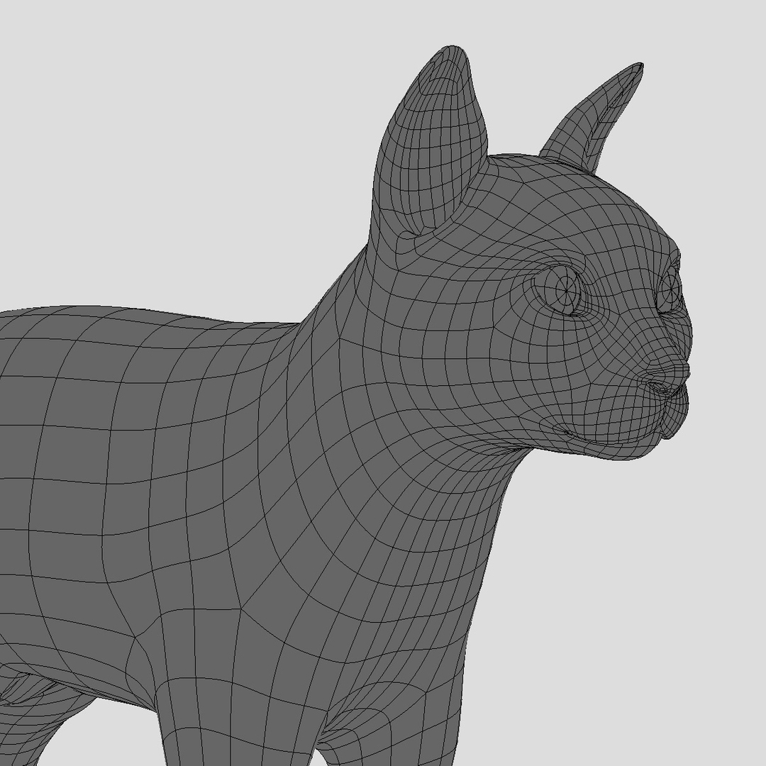 cat mackerel tabby fur 3d model