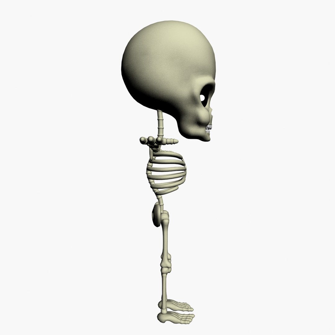 max cartoon skeleton https://p.turbosquid.com/ts-thumb/Hd/QT7gIW/bseQHsUq/left/jpg/1361494467/1920x1080/fit_q87/10e1c1e860ebd1e37f1a12c32bcb714c4d3a516d/left.jpg