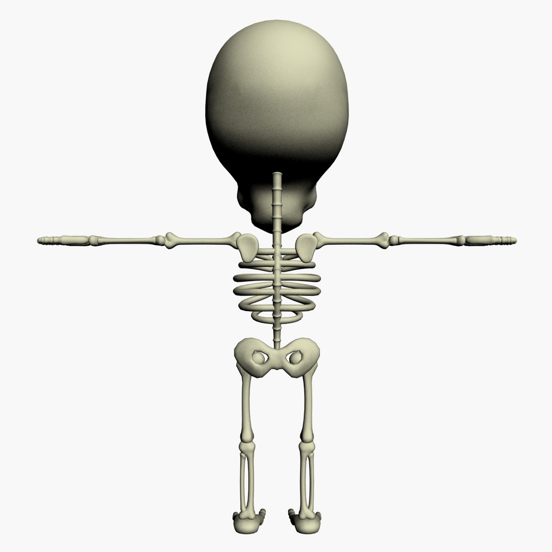 max cartoon skeleton https://p.turbosquid.com/ts-thumb/Hd/QT7gIW/h79r4JZZ/back/jpg/1361494839/1920x1080/fit_q87/ecf2bfbc3836dda2730512e2c5a66598197f9916/back.jpg