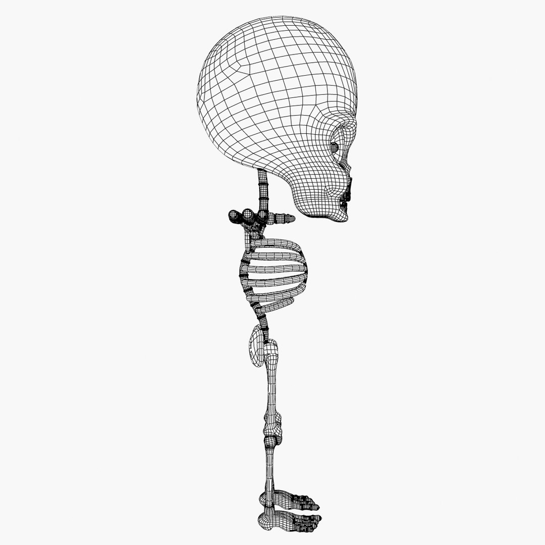 max cartoon skeleton https://p.turbosquid.com/ts-thumb/Hd/QT7gIW/vRn2bTZW/left_wire/jpg/1361494467/1920x1080/fit_q87/494731508e83288952af120419b72b9c2601b873/left_wire.jpg