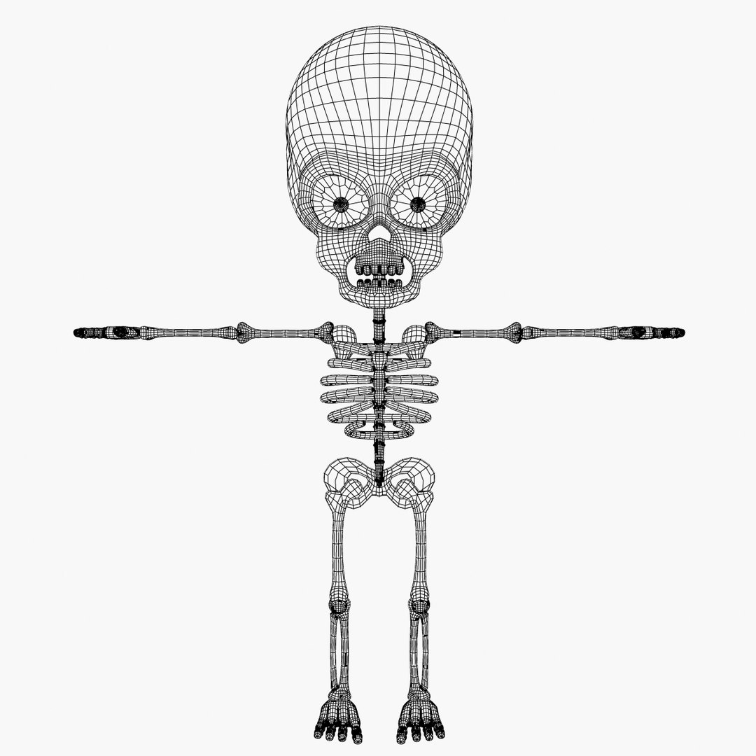 max cartoon skeleton https://p.turbosquid.com/ts-thumb/Hd/QT7gIW/xdWSY9fV/front_wire/jpg/1361494467/1920x1080/fit_q87/ecdf87f8e1a1785798c821964b070a5c0e7c3f3c/front_wire.jpg