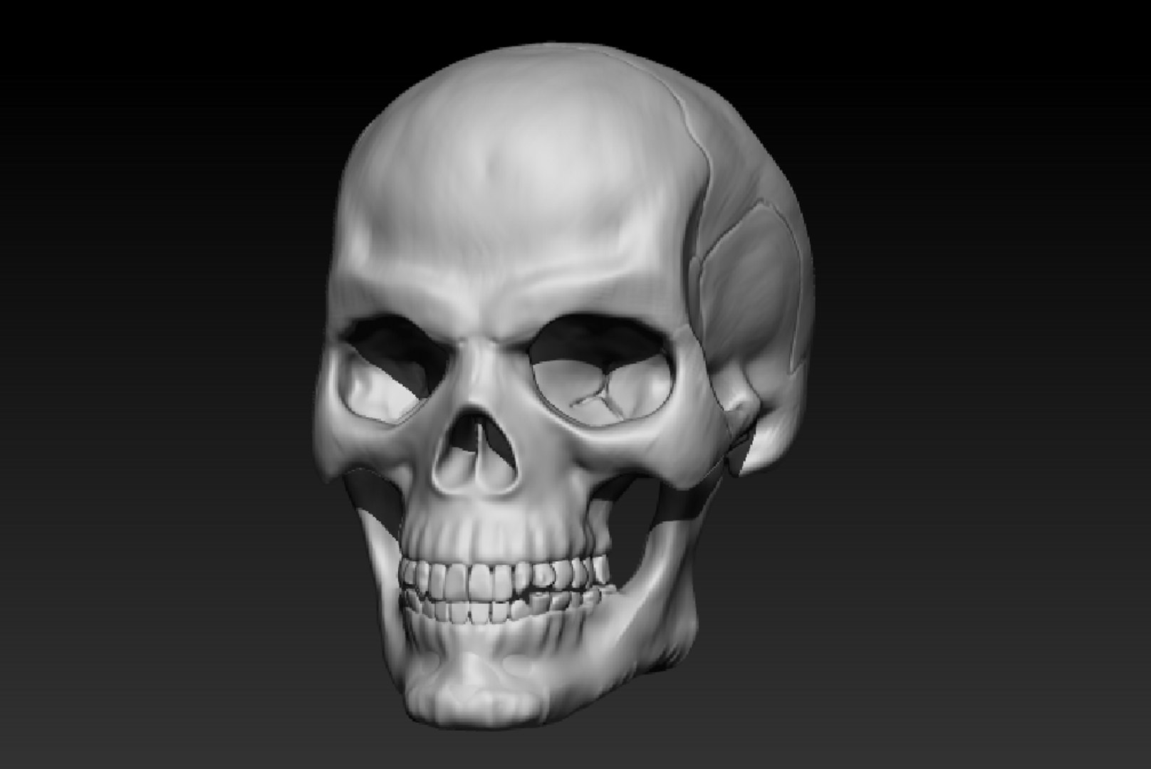 Human Skull Model - TurboSquid 1531566