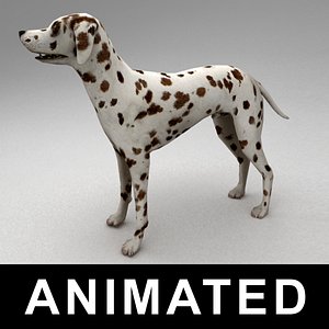 3d model rigged dalmatian bones animation