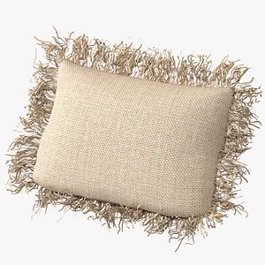 Rafia wicker decor pillow 01 3D