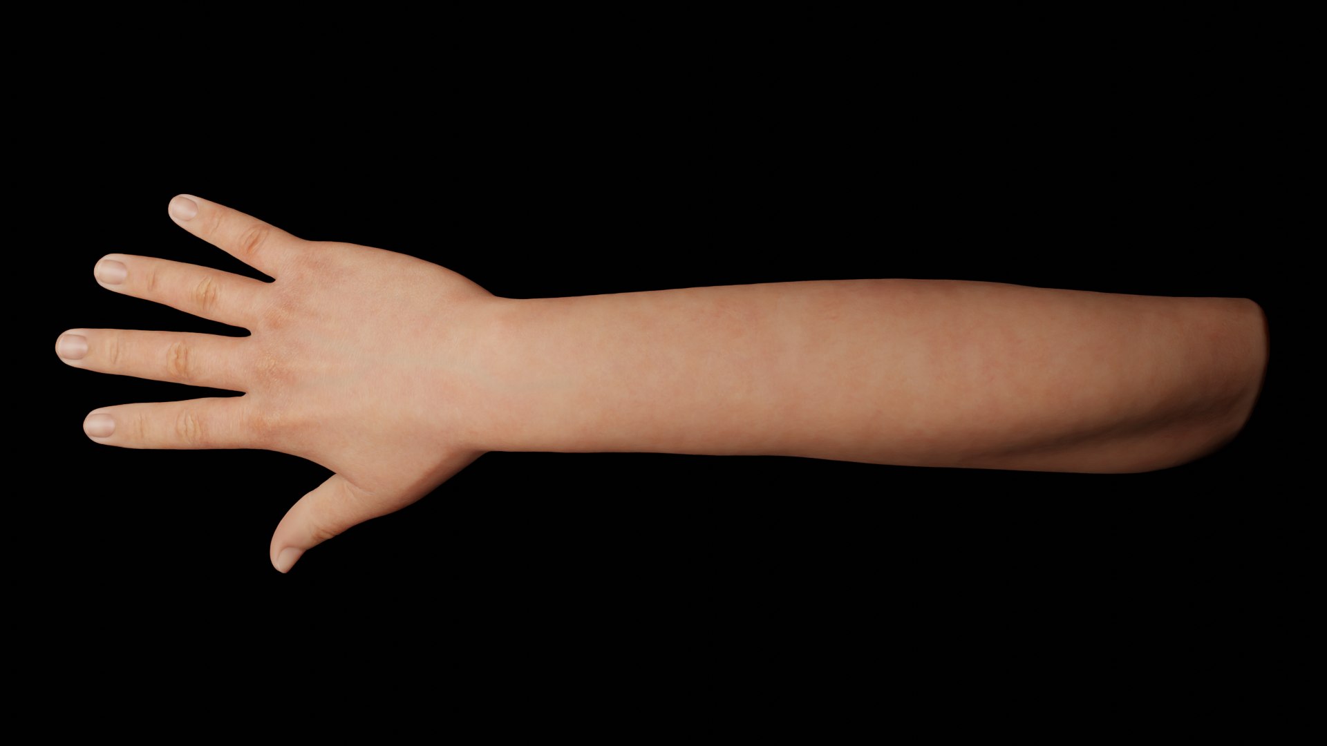 Hands Rigged 3D model https://p.turbosquid.com/ts-thumb/Hd/crhQIn/3Q/5/png/1660057551/1920x1080/fit_q87/2dad44d3ab68dd651f69c3714c2377c8a43ac889/5.jpg
