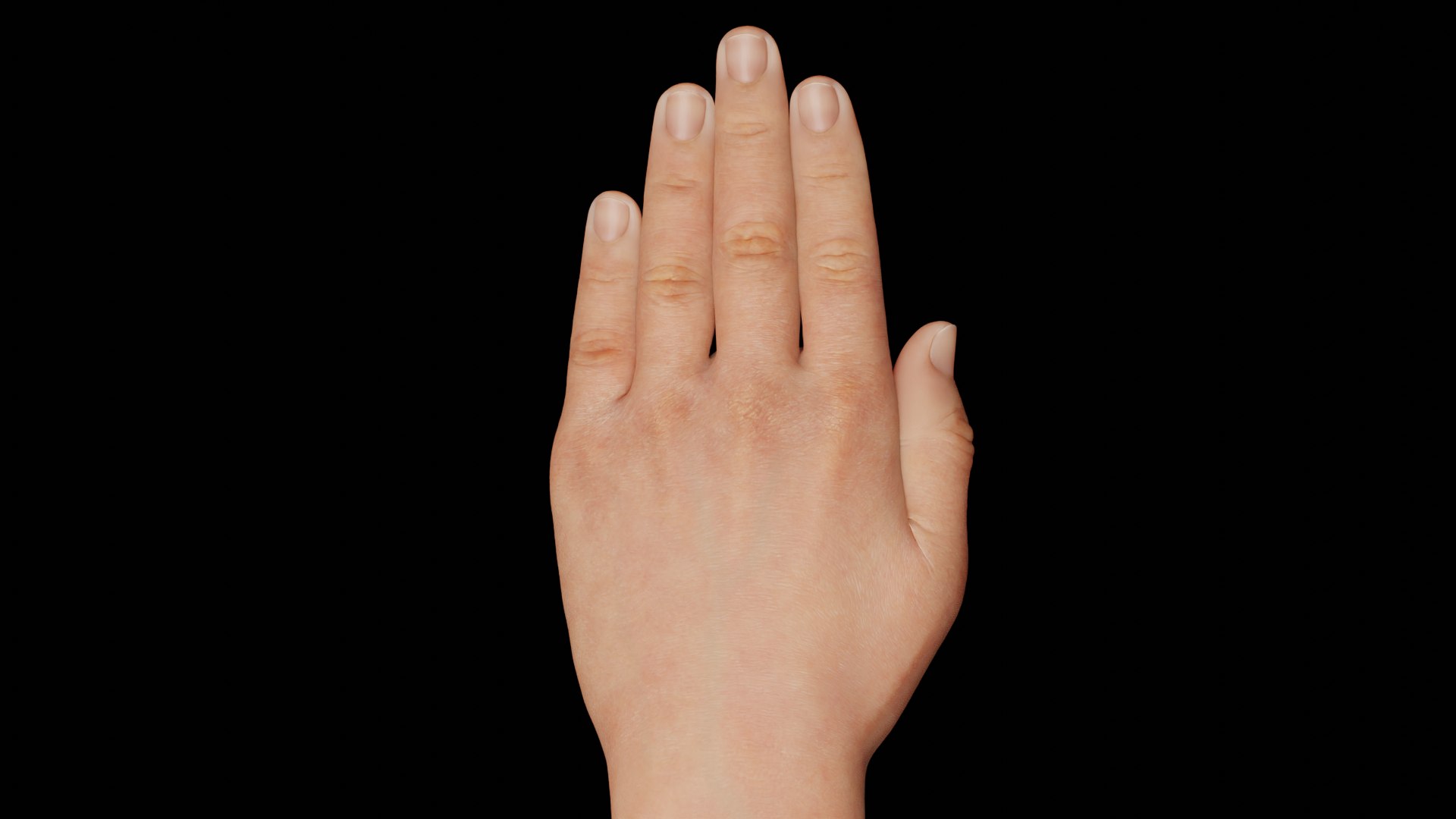 Hands Rigged 3D model https://p.turbosquid.com/ts-thumb/Hd/crhQIn/5z/8/png/1660057556/1920x1080/fit_q87/10a6c7d33ff8436b038f5a3f5d16b0f43e7e03c0/8.jpg