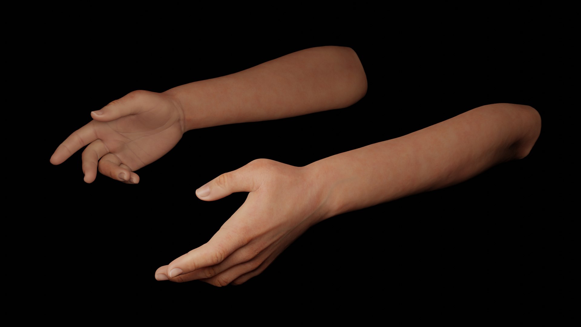 Hands Rigged 3D model https://p.turbosquid.com/ts-thumb/Hd/crhQIn/dD/12/png/1660057561/1920x1080/fit_q87/665f440e69f0462821884ebab0426c634eecee5a/12.jpg