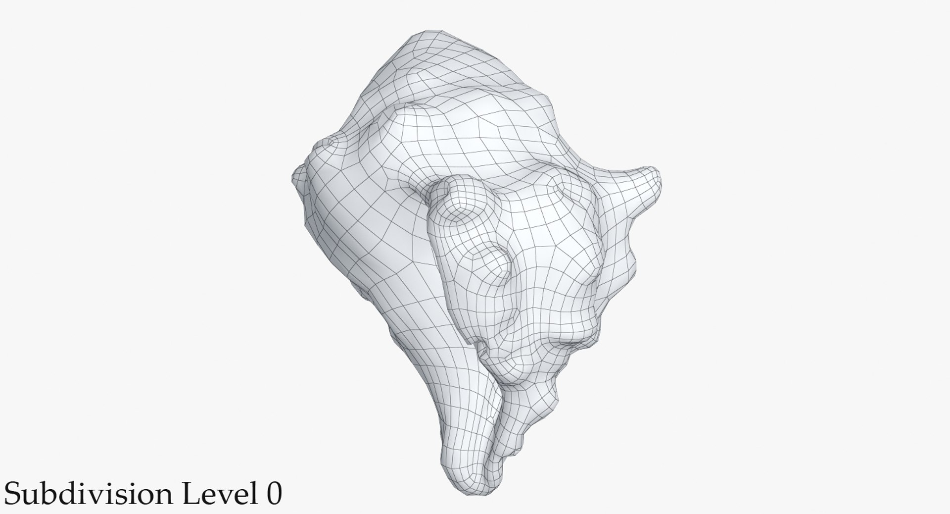 3D sea shell https://p.turbosquid.com/ts-thumb/Hd/eXbqf2/78k8djQo/2_wire_seashell24_camera002_sds0001/jpg/1491900912/1920x1080/fit_q87/04032141cf9cd4e2ec7ccaafc0153f82fef58674/2_wire_seashell24_camera002_sds0001.jpg