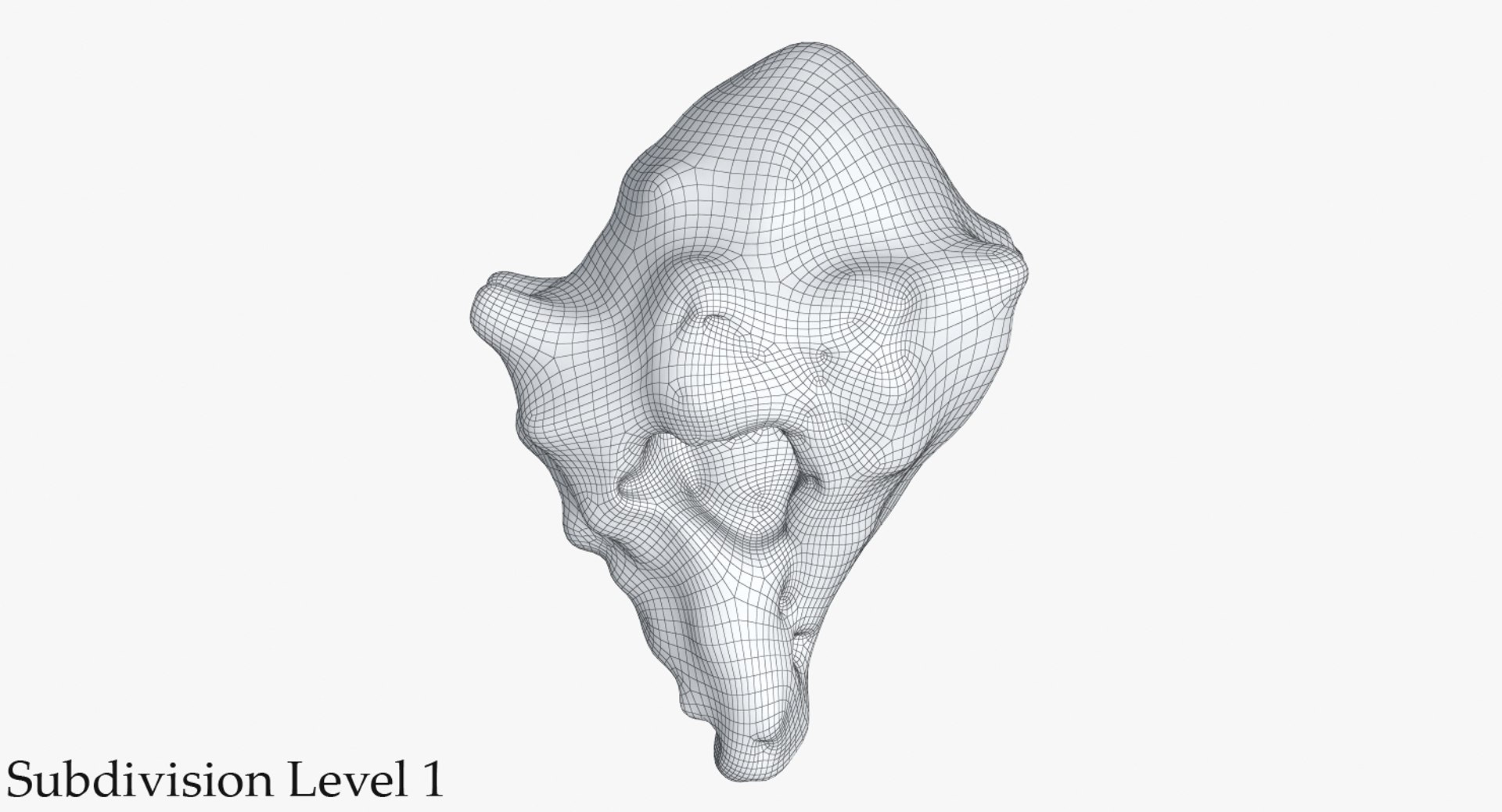 3D sea shell https://p.turbosquid.com/ts-thumb/Hd/eXbqf2/ZRCLxvpq/2_wire_seashell24_camera004_sds1001/jpg/1491900912/1920x1080/fit_q87/d550f5d332e3fb23310cf608bce2d7f3912c40ff/2_wire_seashell24_camera004_sds1001.jpg