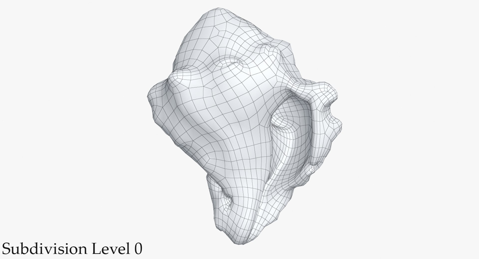 3D sea shell https://p.turbosquid.com/ts-thumb/Hd/eXbqf2/sZAWkUYA/2_wire_seashell24_camera001_sds0001/jpg/1491900912/1920x1080/fit_q87/08941c0864ddf31ea327d76db69feabf14c2ddff/2_wire_seashell24_camera001_sds0001.jpg