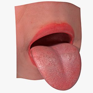 tongue max