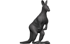 Kangaroo Stl 3D