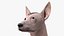 Mexican Hairless Dog Xolo Fur