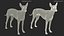 Mexican Hairless Dog Xolo Fur