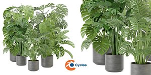 Collection plant vol 334 - blender