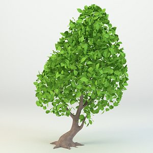 cartoon tree model