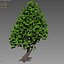 cartoon tree model