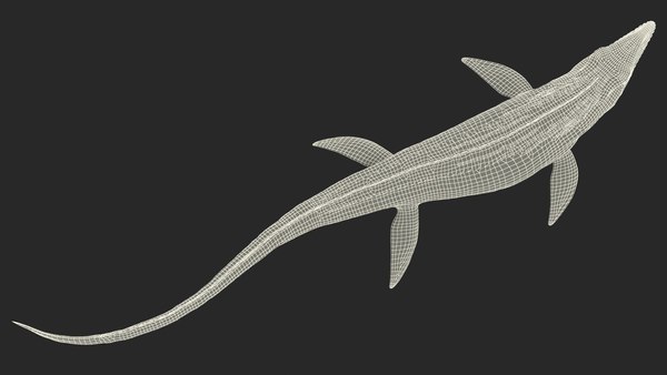 3D Mosasaurus Swimming - TurboSquid 1918610