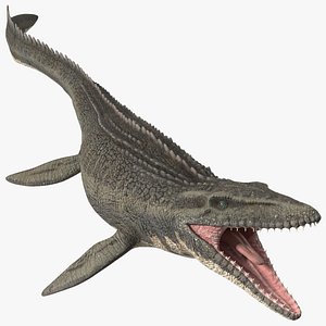 3D Mosasaurus Swimming