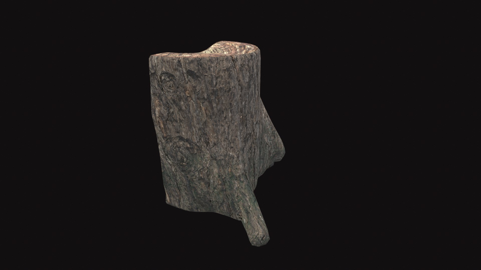Medieval Tree Trunk 01 3D Model - TurboSquid 2322415