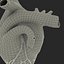Anatomy Heart Modelo de Plástico Médico