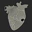Anatomy Heart Modelo de Plástico Médico