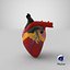 Anatomy Heart Modelo de Plástico Médico