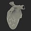 Anatomy Heart Modelo de Plástico Médico