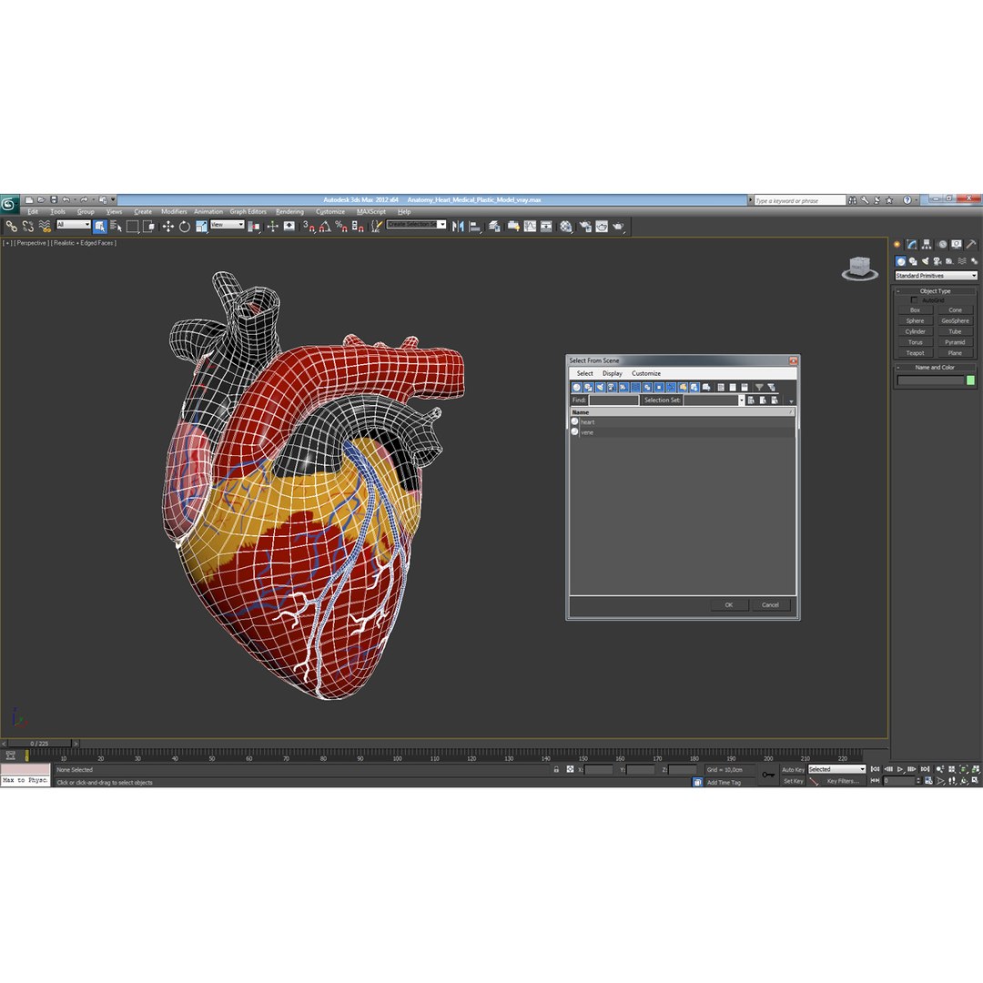anatomy heart medical plastic 3d model https://p.turbosquid.com/ts-thumb/He/R1TUMC/v3fga3Is/anatomyheartmedicalplasticmodel3dmodel17/jpg/1455994171/1920x1080/fit_q87/6089c3504559e2597ccd9b070f1d4cf1df629e76/anatomyheartmedicalplasticmodel3dmodel17.jpg