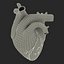 Anatomy Heart Modelo de Plástico Médico