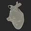 Anatomy Heart Modelo de Plástico Médico