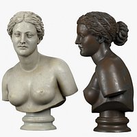 Aphrodite Capitoline Bust